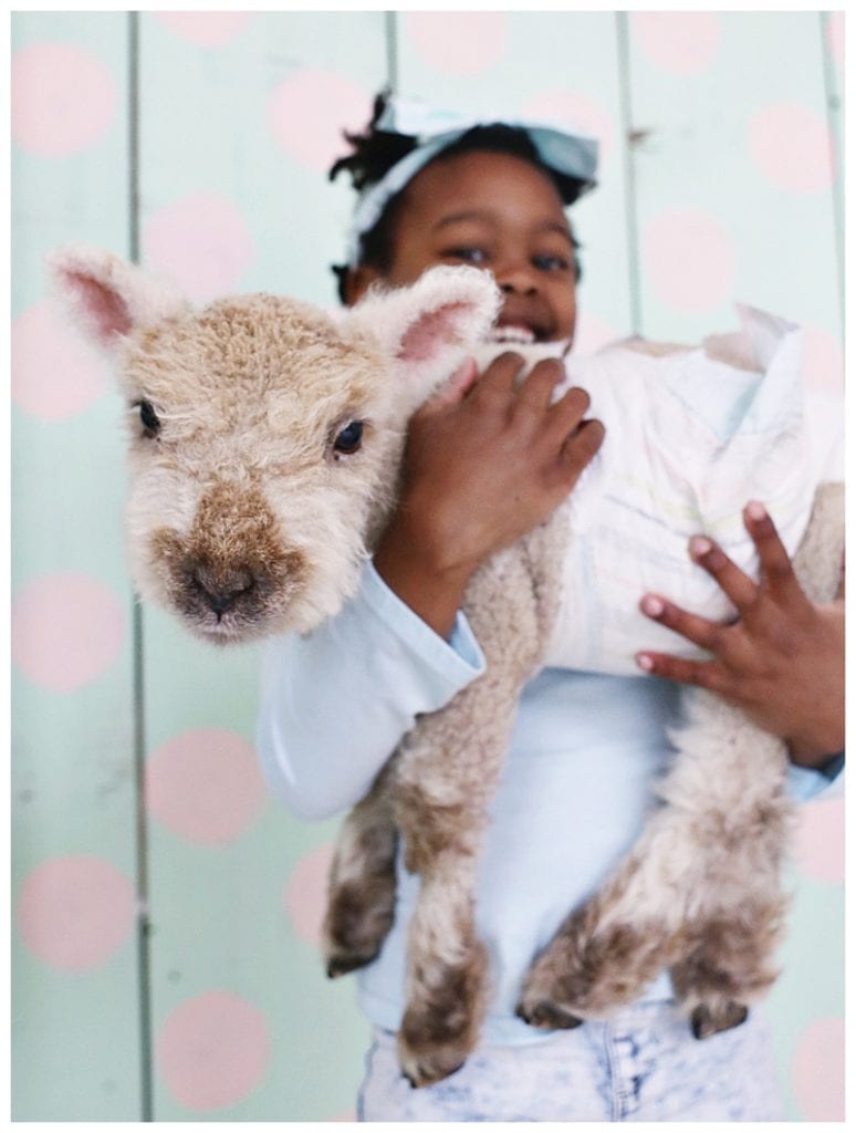 Our kids love our new babydoll lambs
