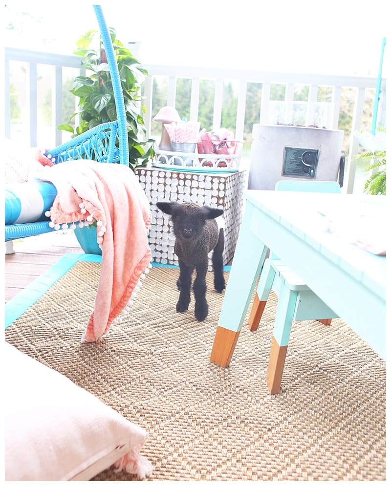 little lamb on the newly refreshed covered porch