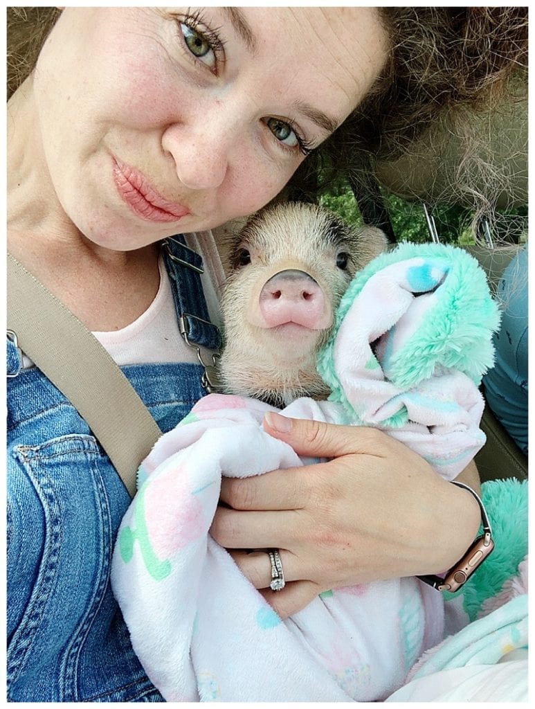 woman holding mini piglet