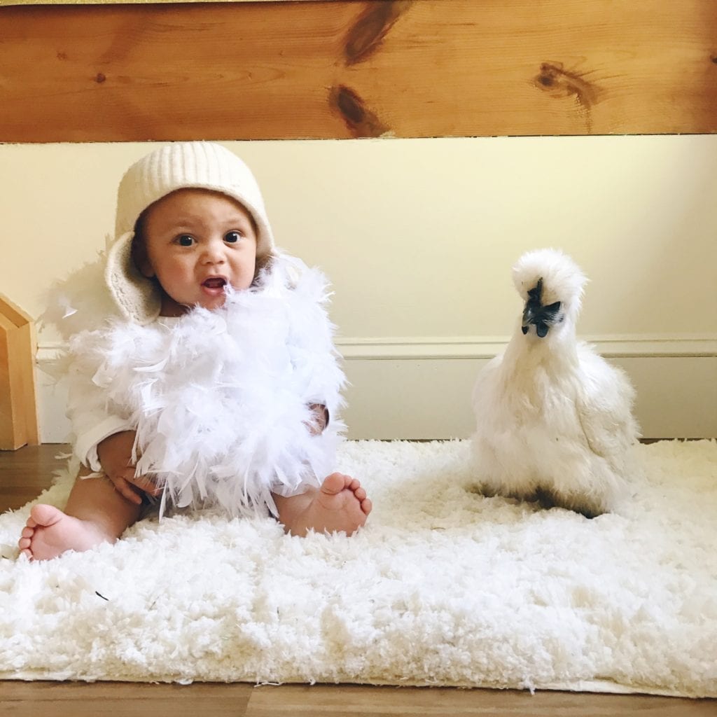 a baby dressed as a chick light next to a chicken