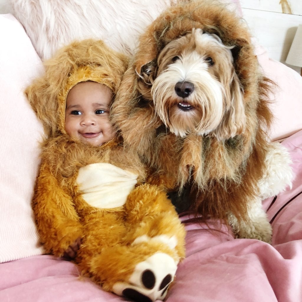 baby with and a puppy both dressed as lions