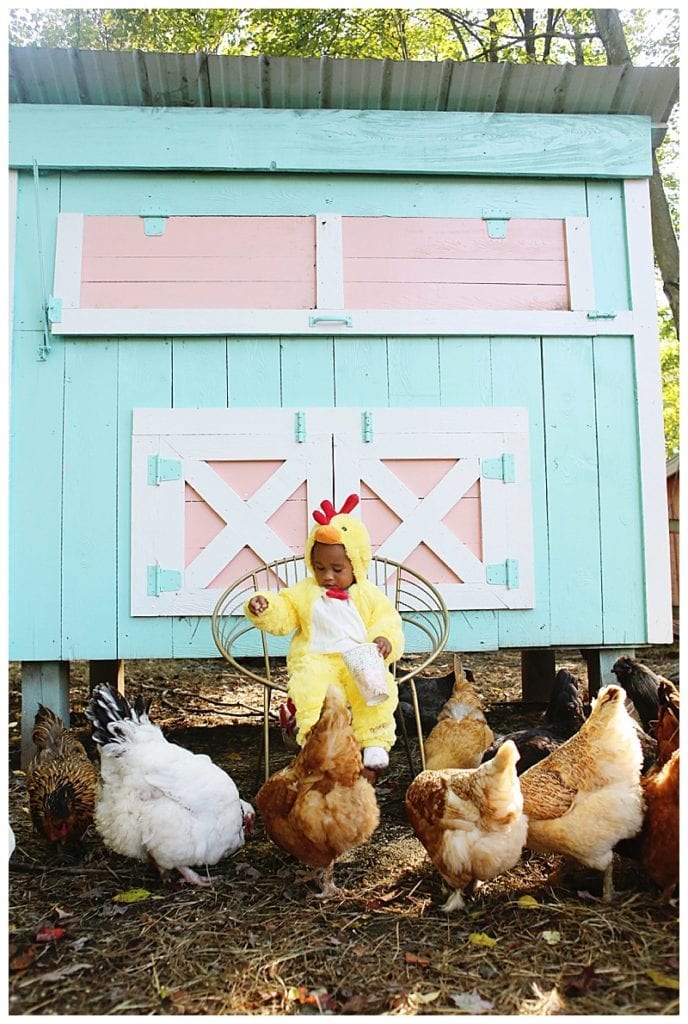 baby dressed in a chicken costume feeding chickens at a barn