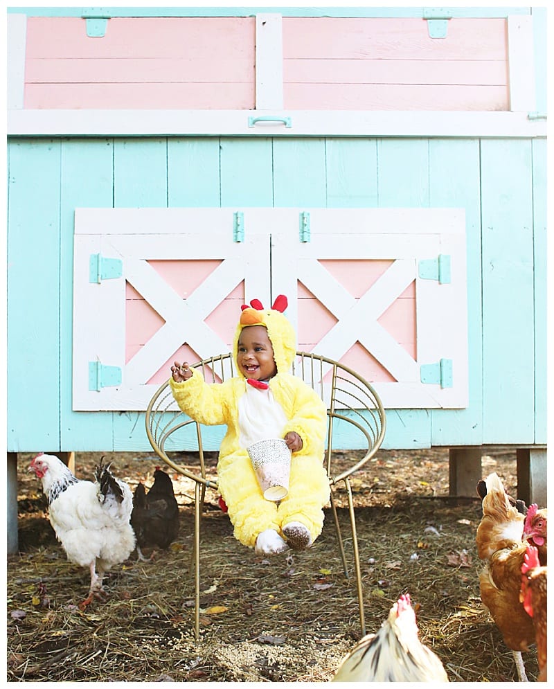 baby dressed up in a chicken costumes feeding chickens at a barn