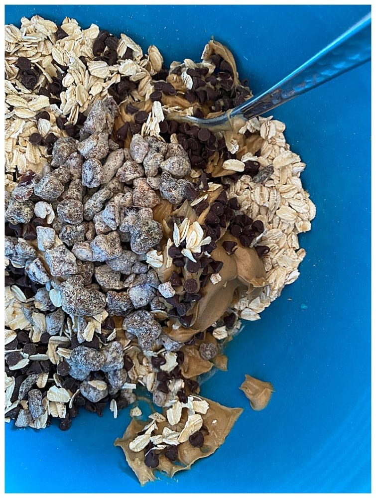 KidFriendly Granola Balls Live Sweet