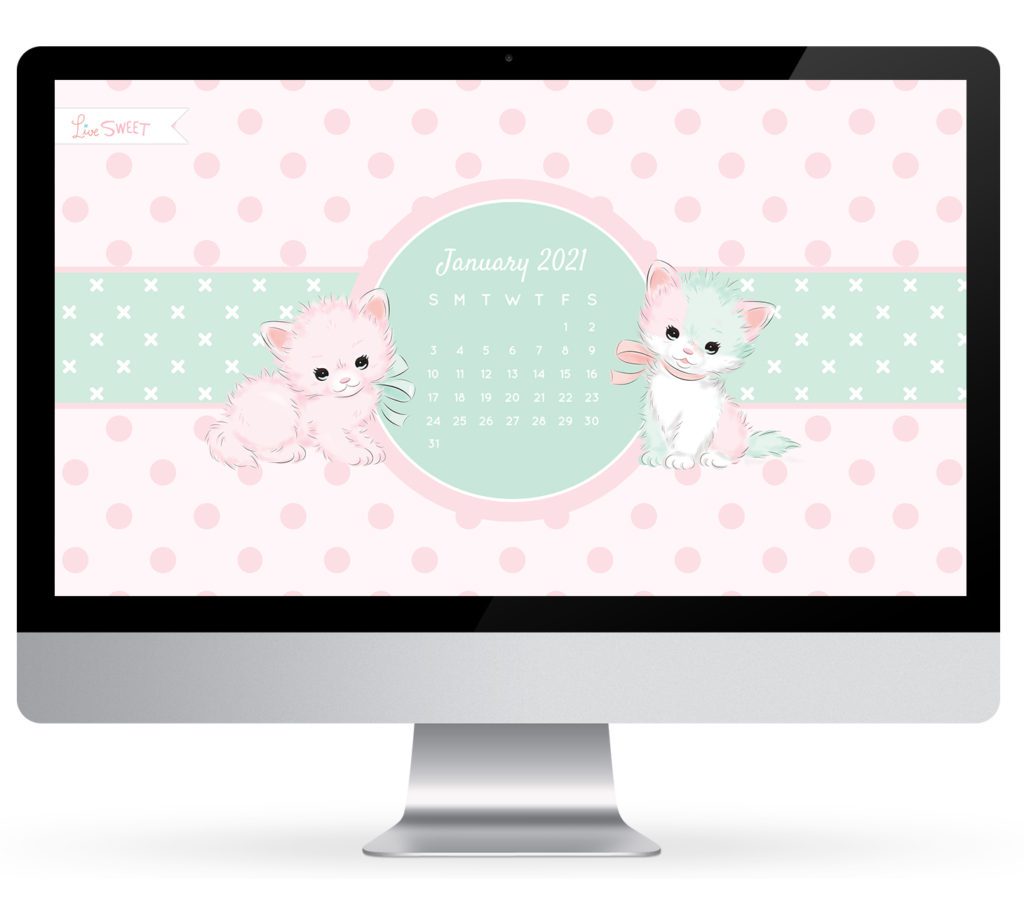 kitty cat wallpaper computer january 2021 free